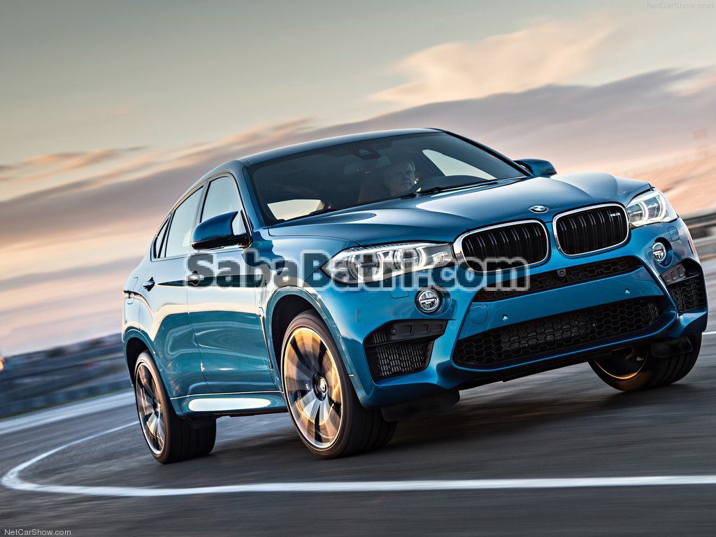 BMW X6 5 باتری بی ام و x6