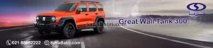 گریت وال تانک 300