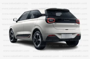 Dongfeng Nammi Box