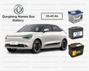 Dongfeng Nammi Box