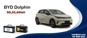 باتری بی وای دی دلفین